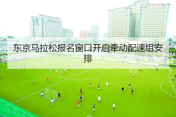 img_1793260750127_358_1_183.jpg